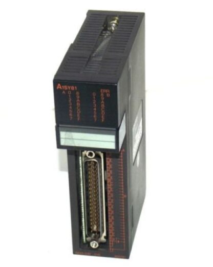 A1SY81