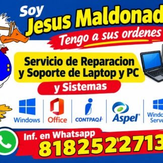 Servicios